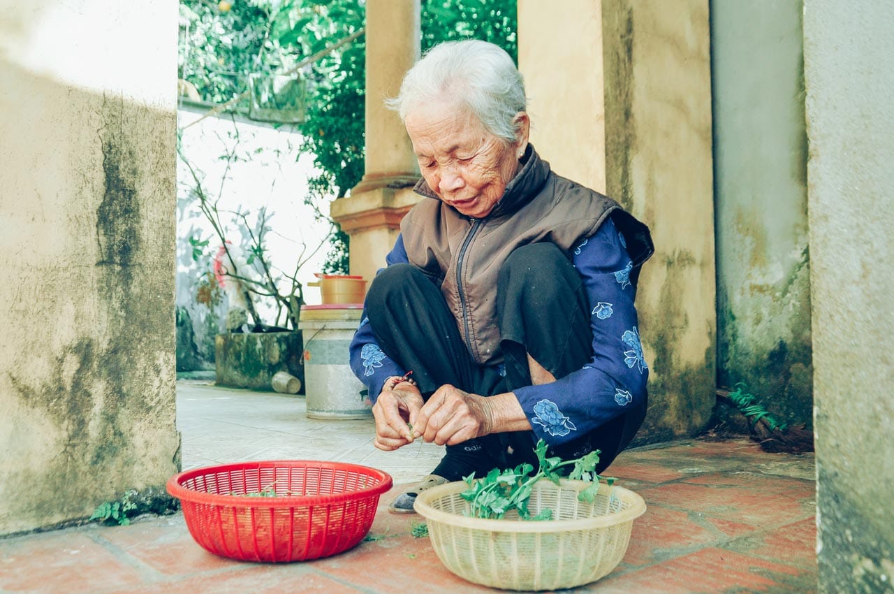 asian woman squatting and cleaning cilantro