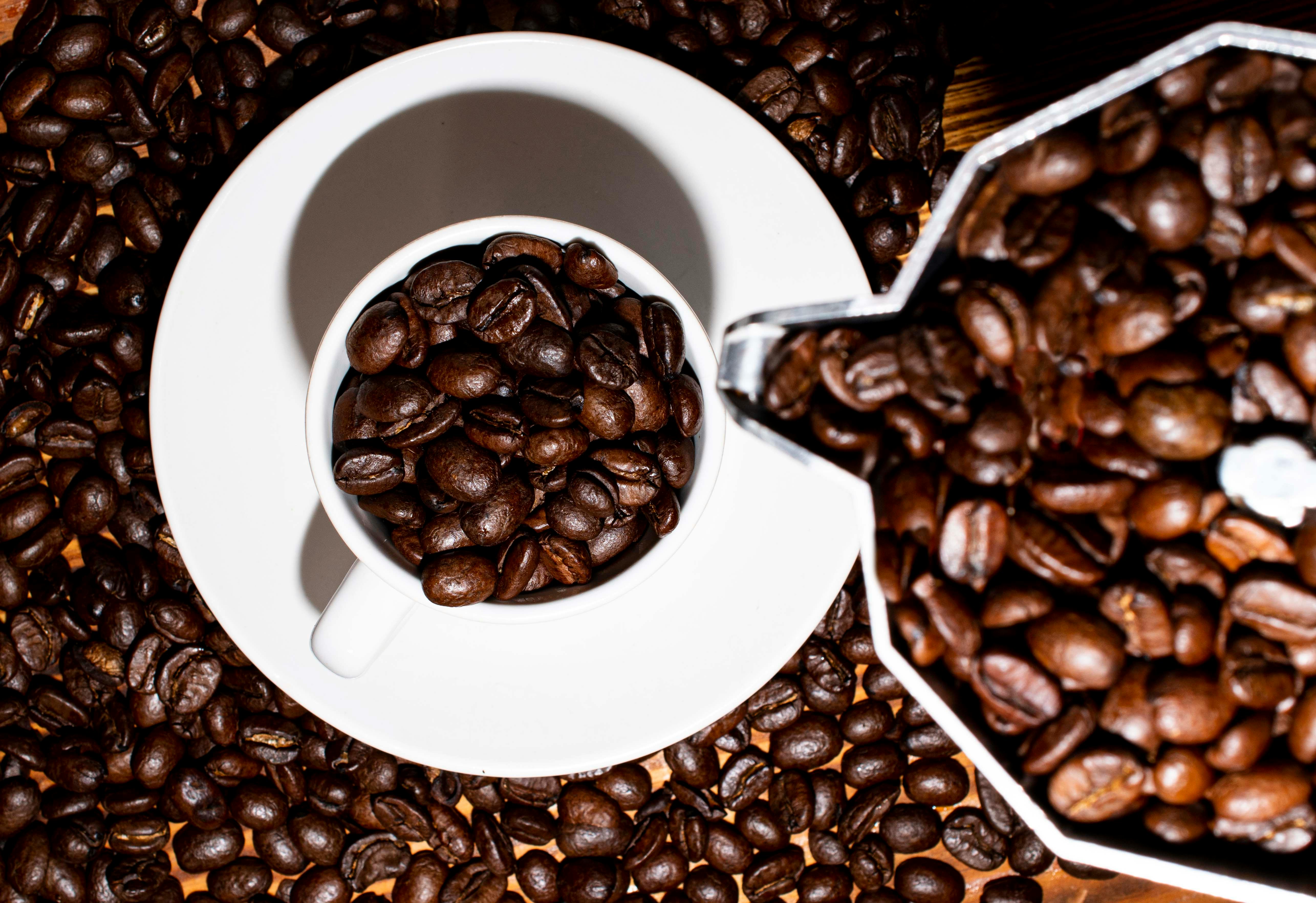 How Plants Control Humans: The Coffee Bean, Caffeine & You