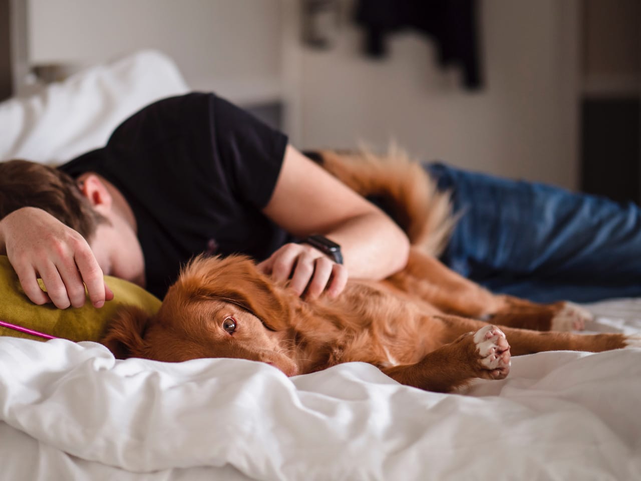 guy napping with dog