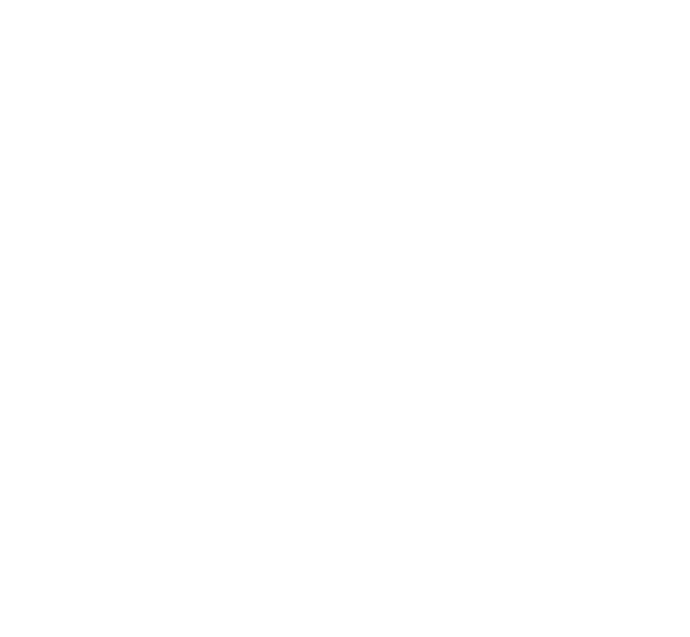 4th Annual Anthem Awards — Silver Winner